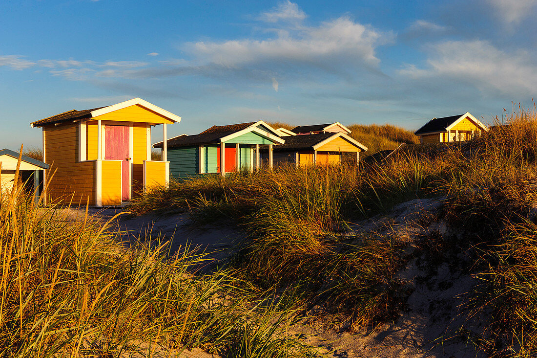 Colorful beach huts at Skanör med Falsterbo, Skane, Southern Sweden, Sweden