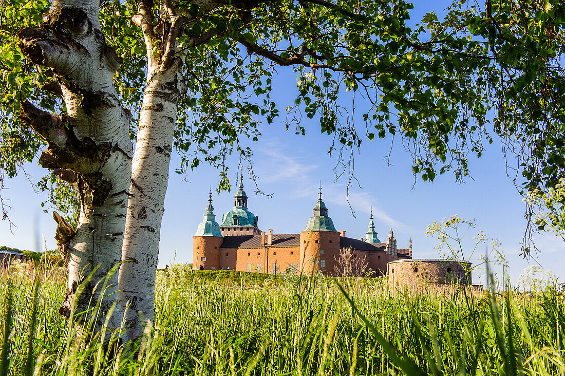 Kalmar Castle exterior view with birch and tall reed in the foreground, Schweden