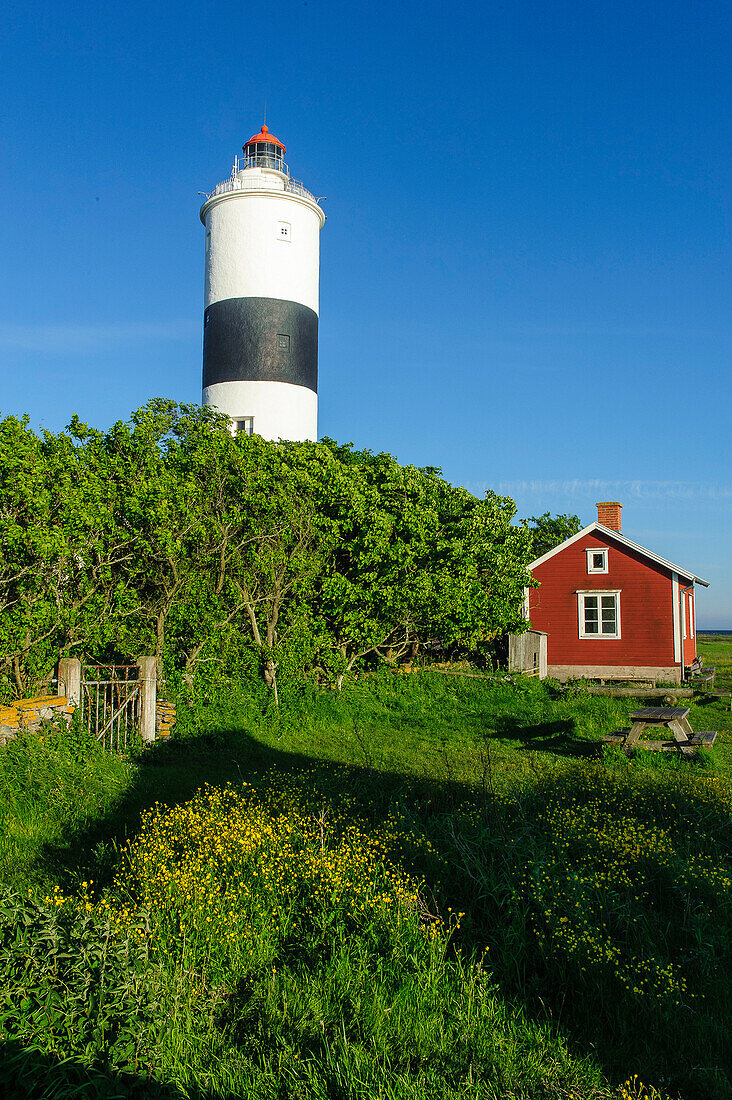 Leuchturm Lange Jan auf Oeland , Schweden