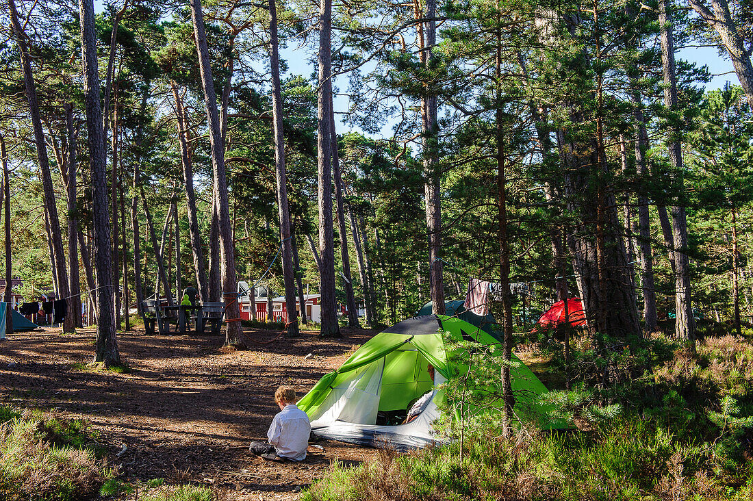 Settlement with campsite on Gotska Sandoe, the island / national park lies in the Baltic Sea north of the island Gotland., Schweden