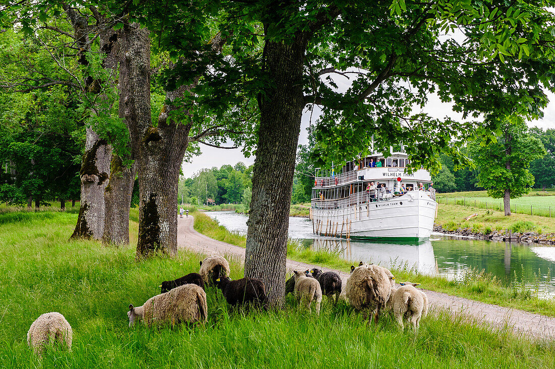 Steamboat Wilhem Tham on the Goetakanal between Borensberg and Berg Slussar , Sweden