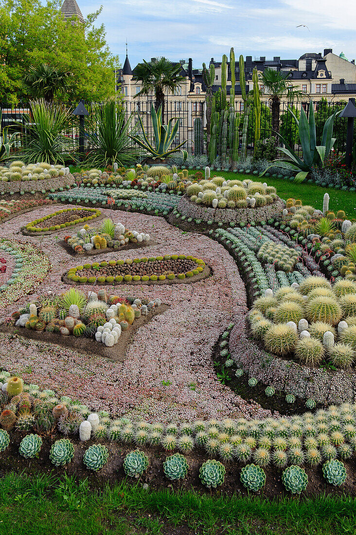 Carl Johans Park with cactuses, Sweden