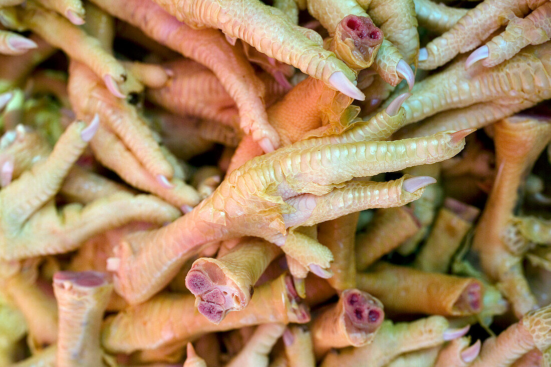 Pile of chicken feet