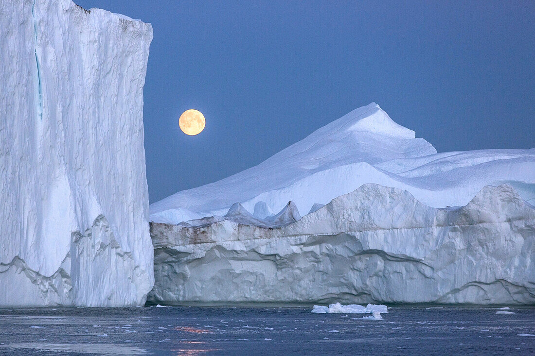 after the sunset, the moon rising over the icebergs in the ice fjord, jakobshavn glacier, 65 kilometres long, coming from the inlandsis, sermeq kujalleq, ilulissat, greenland