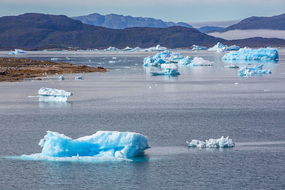 floating icebergs that separated from the glacier snout, fjord of narsaq bay, greenland