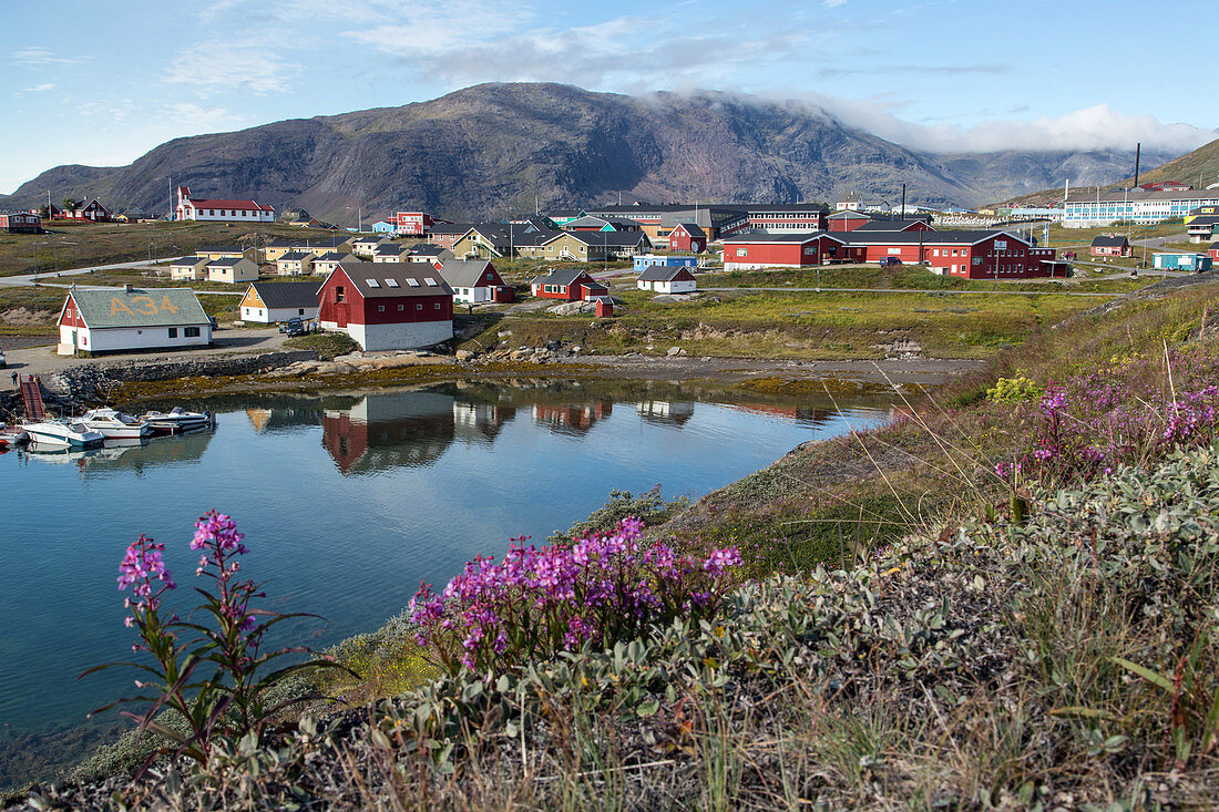 the little town of narsaq with colorful houses by the lake at the foot of the mountain, greenland