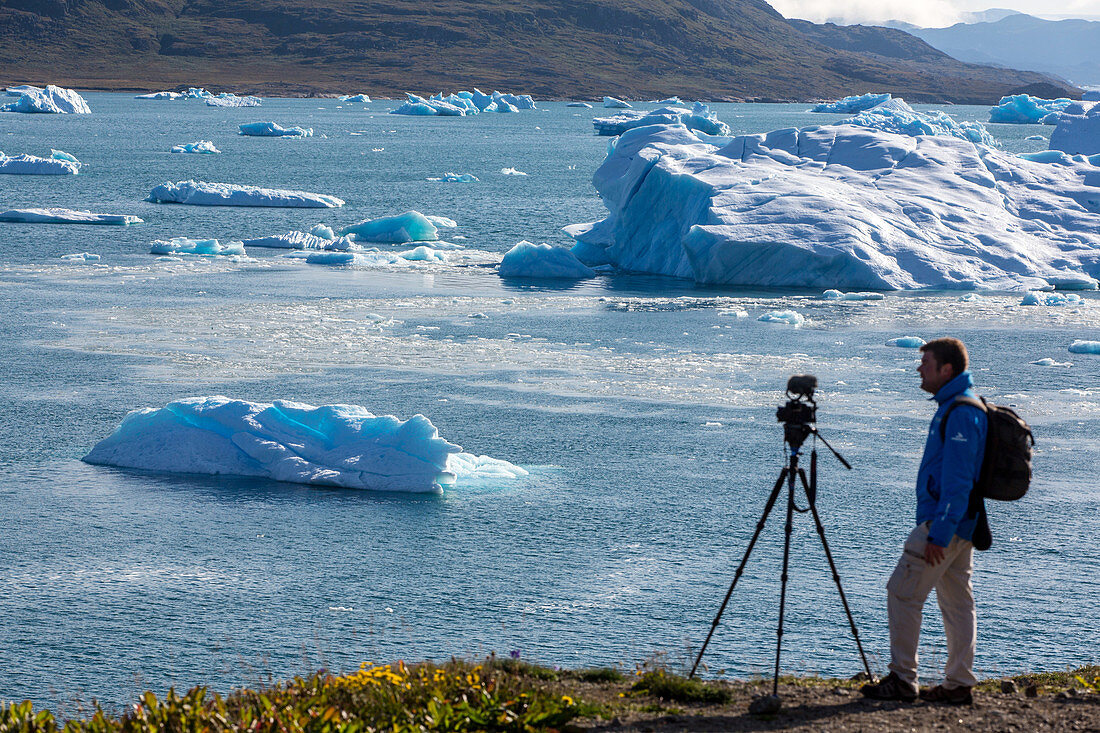 cameraman filming the spectacle offered by the icebergs floating in the fjord of narsaq bay, greenland