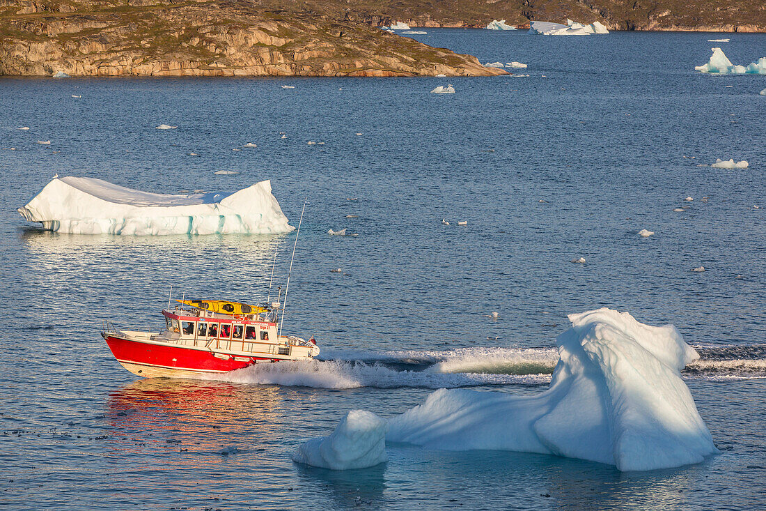 water taxi, arctic landscape with the icebergs floating in the fjord of narsaq bay, greenland