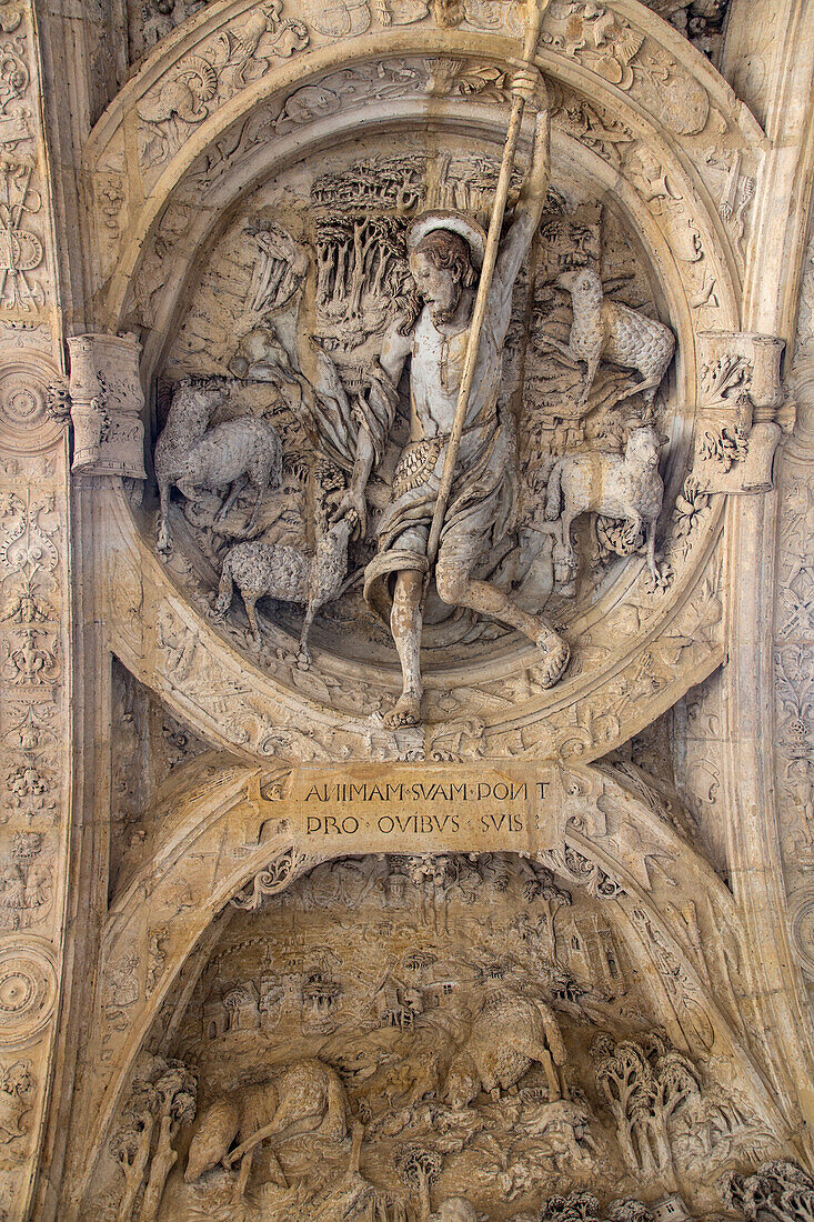 the good shepherd with his sheep, detail of the intrados beneath the vault of the renaissance arch holding the great clock, rouen (76), france