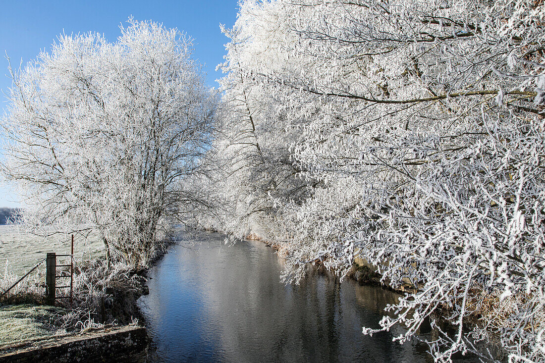 banks of the risle river with the frost in the white trees of winter, rugles (27), france