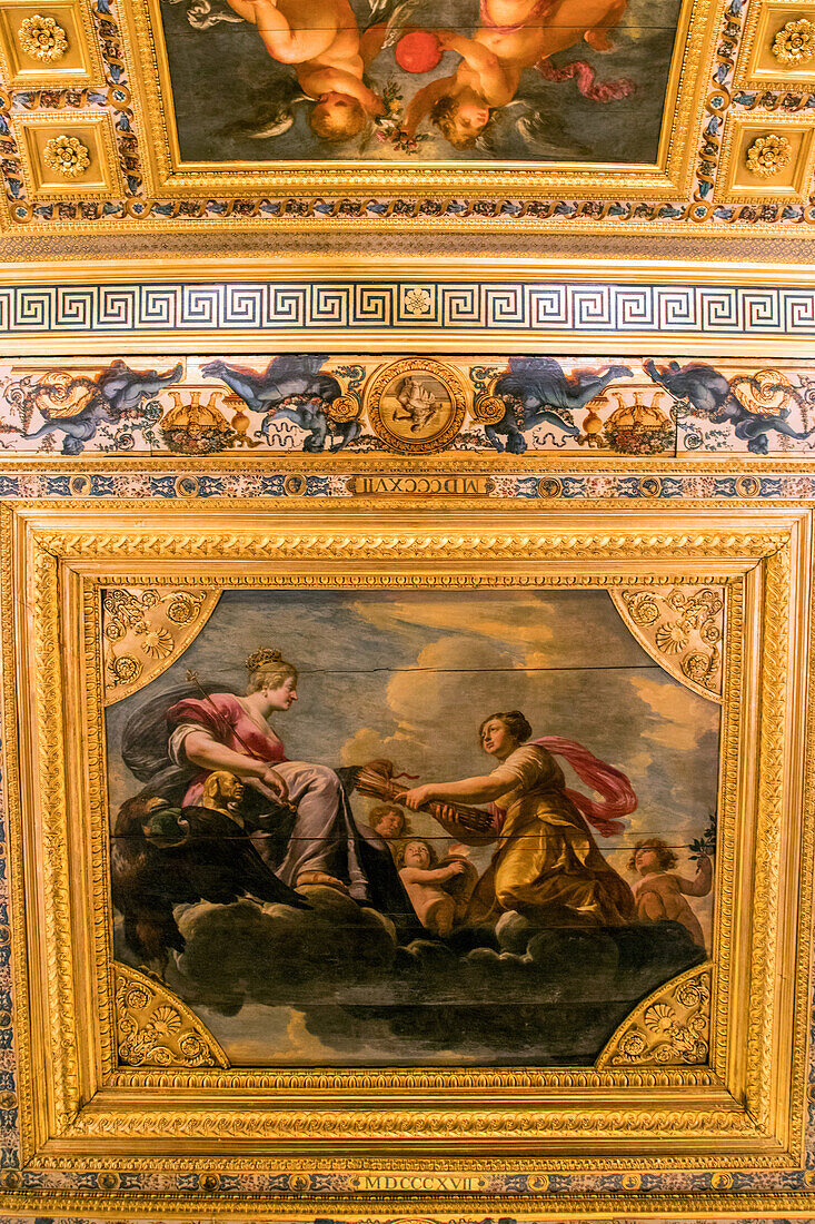 painted wood ceiling in the salle du livre d'or room in the senate, luxembourg palace, upper chamber of the french parliament, paris (75), france
