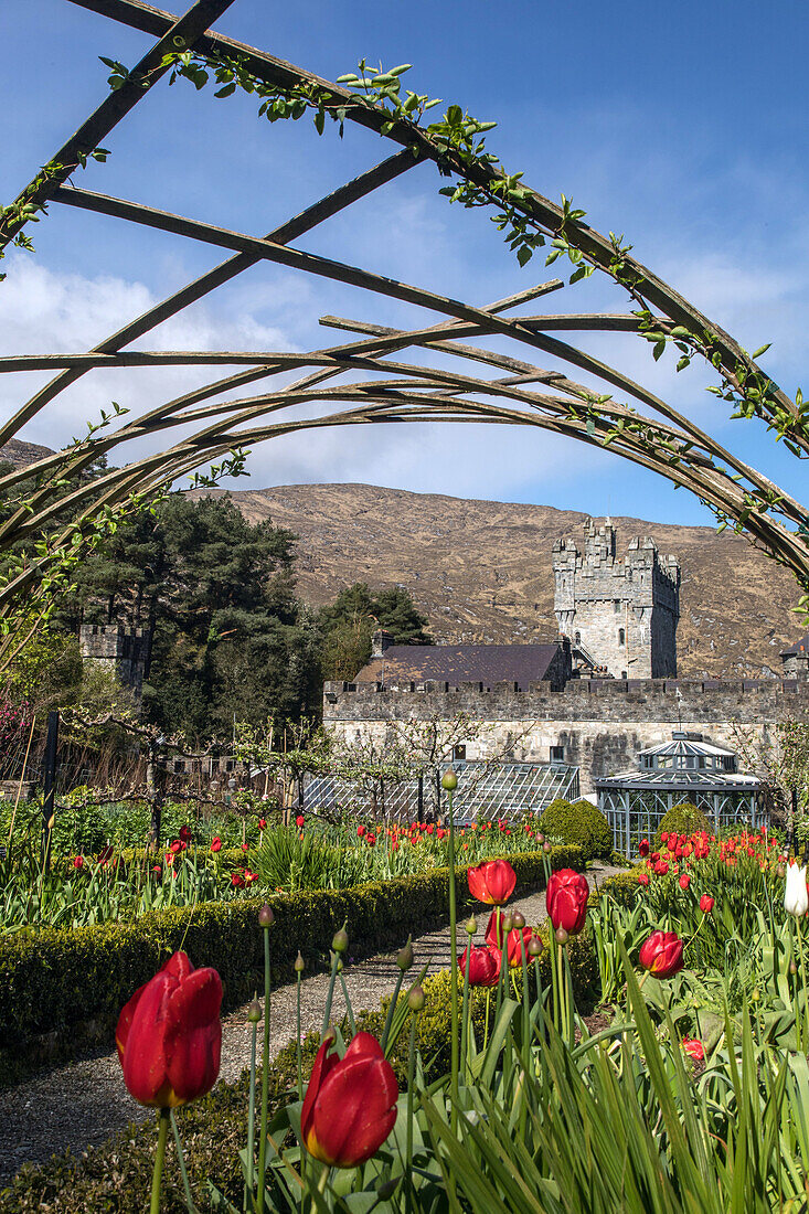 enclosed garden in front of the castle, glenveagh national park, county donegal, ireland