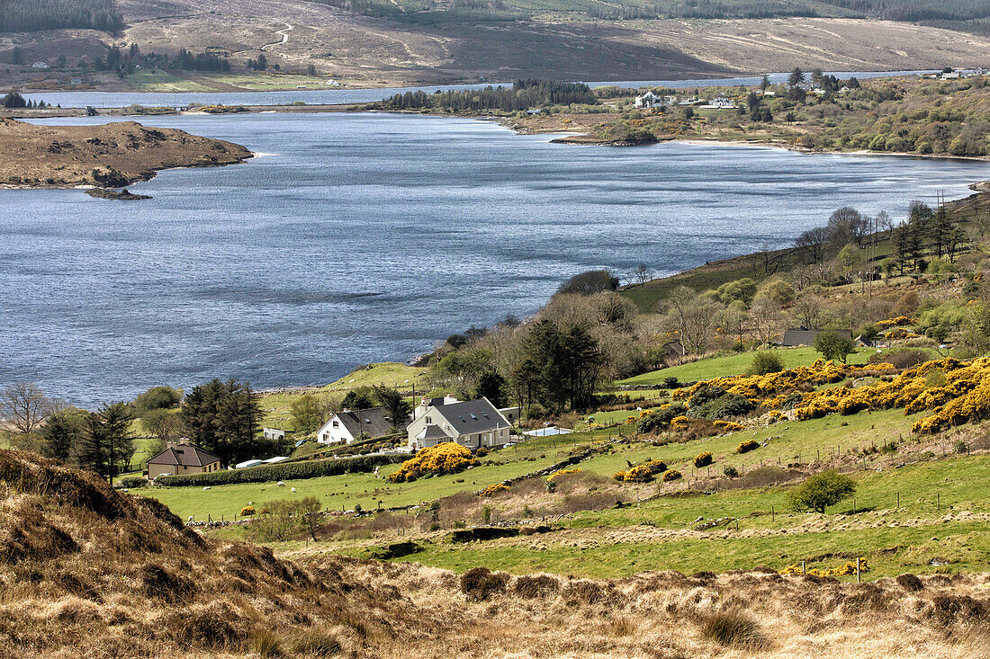 houses on the banks of the lake dunlewy lough, county donegal, ireland