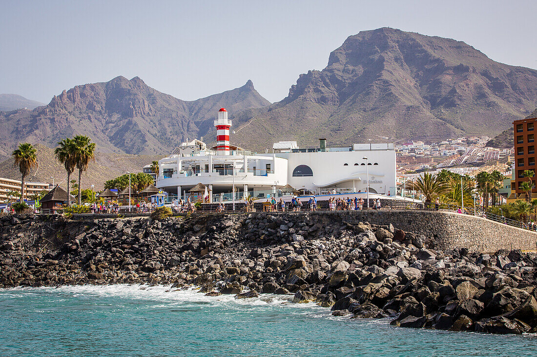 puerto colon, island of tenerife, canary islands, spain, france