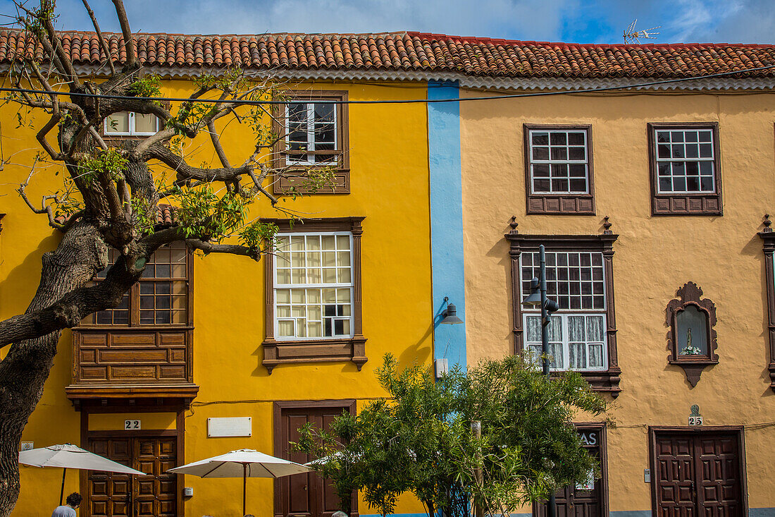 facade on plaza de la conception, la laguna, island of tenerife, canary islands, spain, europe