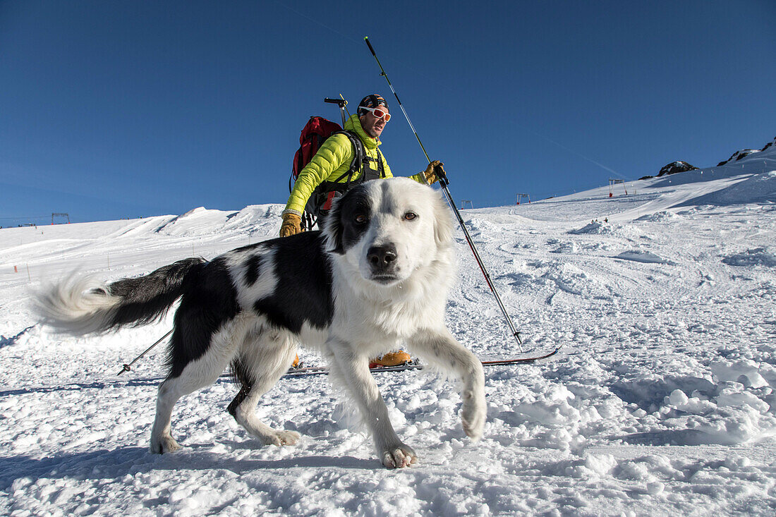 arvin berod nicolas with his 2-year-old border collie jango approaching the review area for cross-country skiing, reporting on avalanche dog handlers, training organized by the anena with the approval of the civil security department, les-2-alpes (38), fr