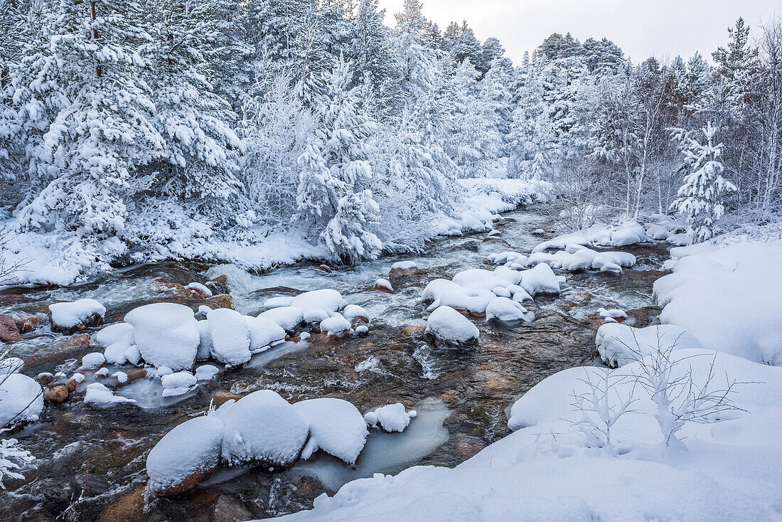 Snowy landscape at CairnGorm Mountain, Cairngorms National Park, Scotland, United Kingdom, Europe