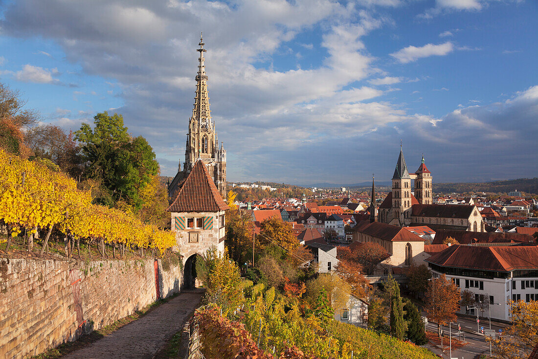 View from vineyards to Esslingen with St. Dionys church and Frauenkirche church, Esslingen, Baden-Wurttemberg, Germany, Europe