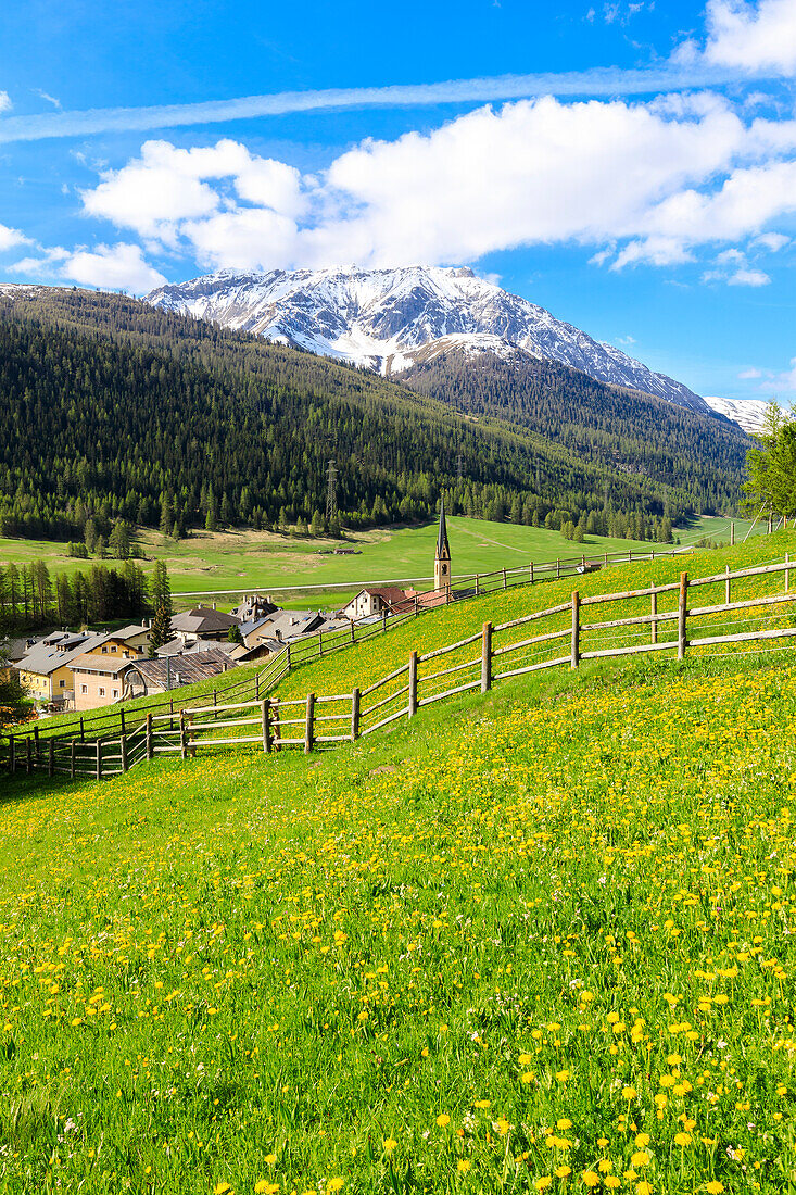 Alpine village of S-chanf surrounded by green meadows in spring, Canton of Graubunden, Maloja Region, Switzerland, Europe