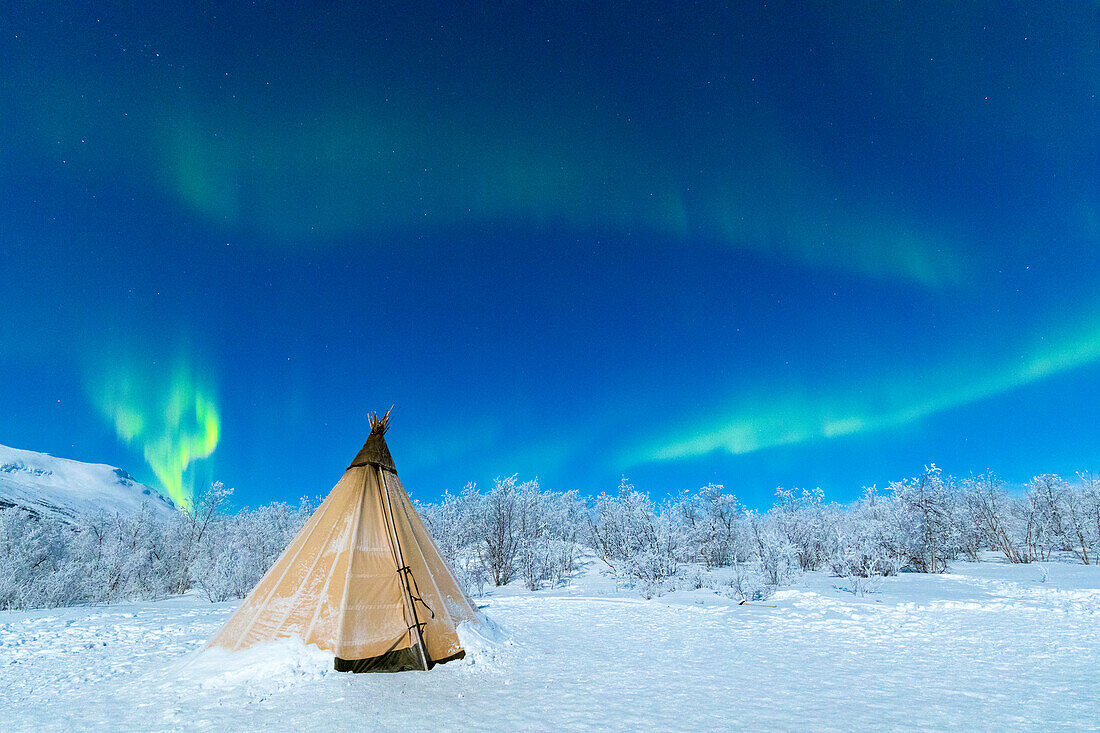 Isolated Sami tent in the snow under Northern Lights (Aurora Borealis), Abisko, Kiruna Municipality, Norrbotten County, Lapland, Sweden, Scandinavia, Europe