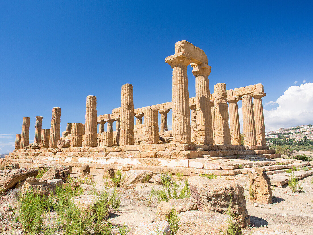 Greek ruins of Agrigento, UNESCO World Heritage Site, Sicily, Italy, Europe