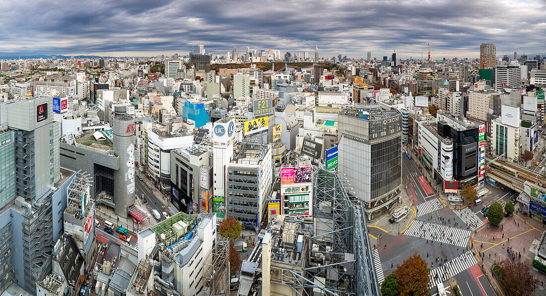 Elevated view over Shibuya Ward towards the Shinjuku skyline, Tokyo, Japan, Asia