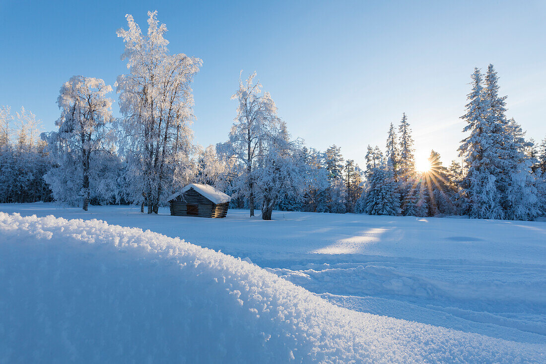 Sunburst on wooden hut in the snowy forest, Kiruna, Norrbotten County, Lapland, Sweden, Scandinavia, Europe
