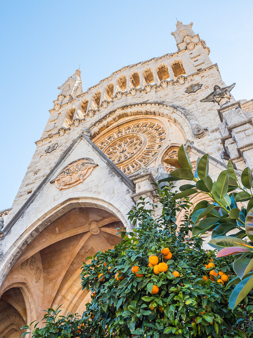 Church and orange trees, Soller, Mallorca, Balearic Islands, Spain, Mediterranean, Europe