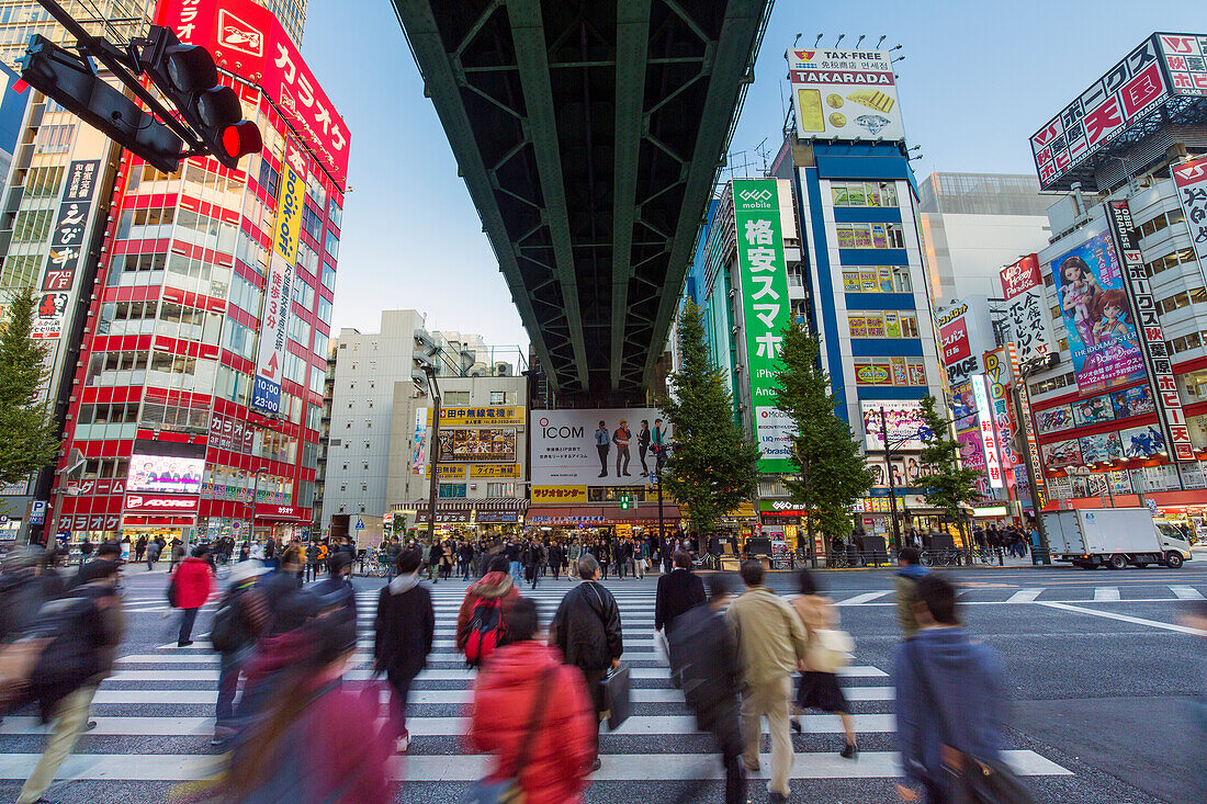 Neon signs cover buildings in the consumer electronics district of Akihabara, Tokyo, Japan, Asia