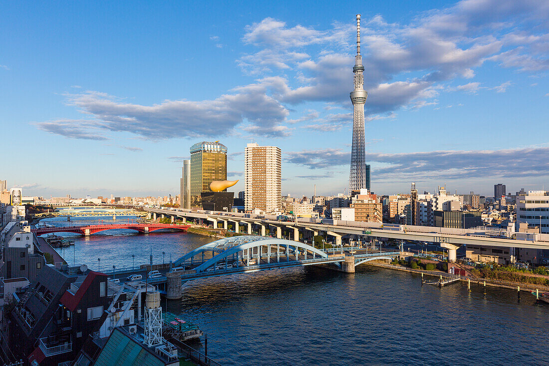 City skyline and Skytree on the Sumida River, Tokyo, Japan, Asia