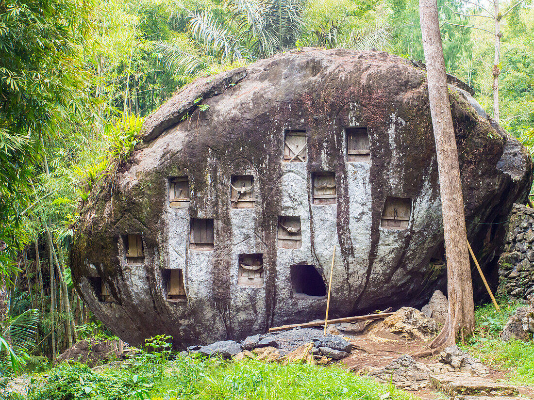 Where there are no cliffs or caves, crypts are carved into boulders, Tana Toraja, Sulawesi, Indonesia, Southeast Asia, Asia