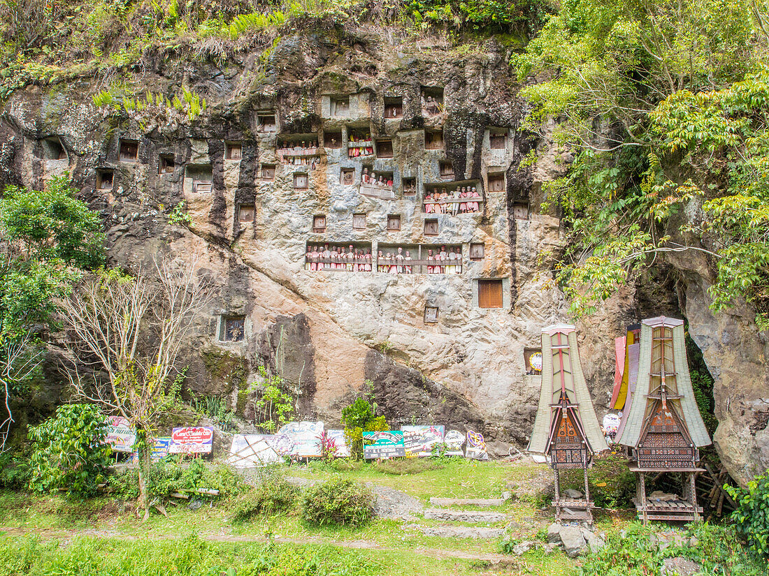 At this burial cliff, condolence signs from past funerals and coffin carriers shaped like traditional Torajan houses are left below the crypts and tao-taos, Tana Toraja, Sulawesi, Indonesia, Southeast Asia, Asia