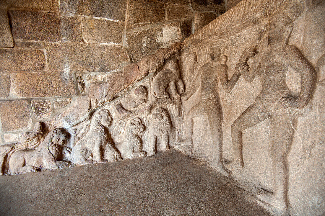 Part of the beautiful 7th century bas relief sculpture in the Krishna cave temple, Mahaballipuram, UNESCO World Heritage Site, Tamil Nadu, India, Asia