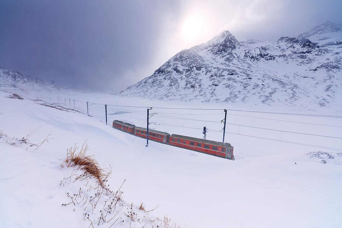 Bernina Express train at Bernina Pass under a snowfall, Engadine, Canton of Graubunden, Switzerland, Europe