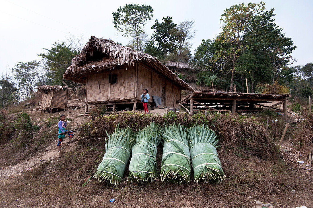 Two Naga girls playing near fan palm leaves, bundled together, ready for use in reroofing their village house, Nagaland, India, Asia