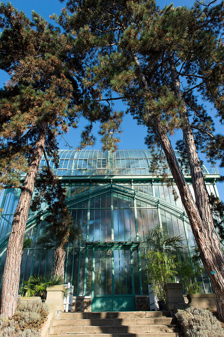 Paris 16th district. Garden of the greenhouses of Auteuil. The great greenhouse