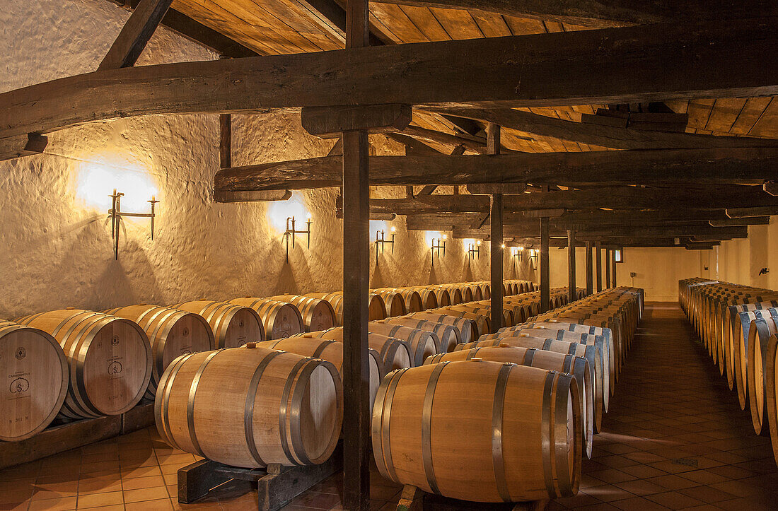 'France, Gironde, AOC Pessao-Leognan vineyard, Chateau Carbonnieux (Graves ''Grand Cru Classe''), barrel warehouse'