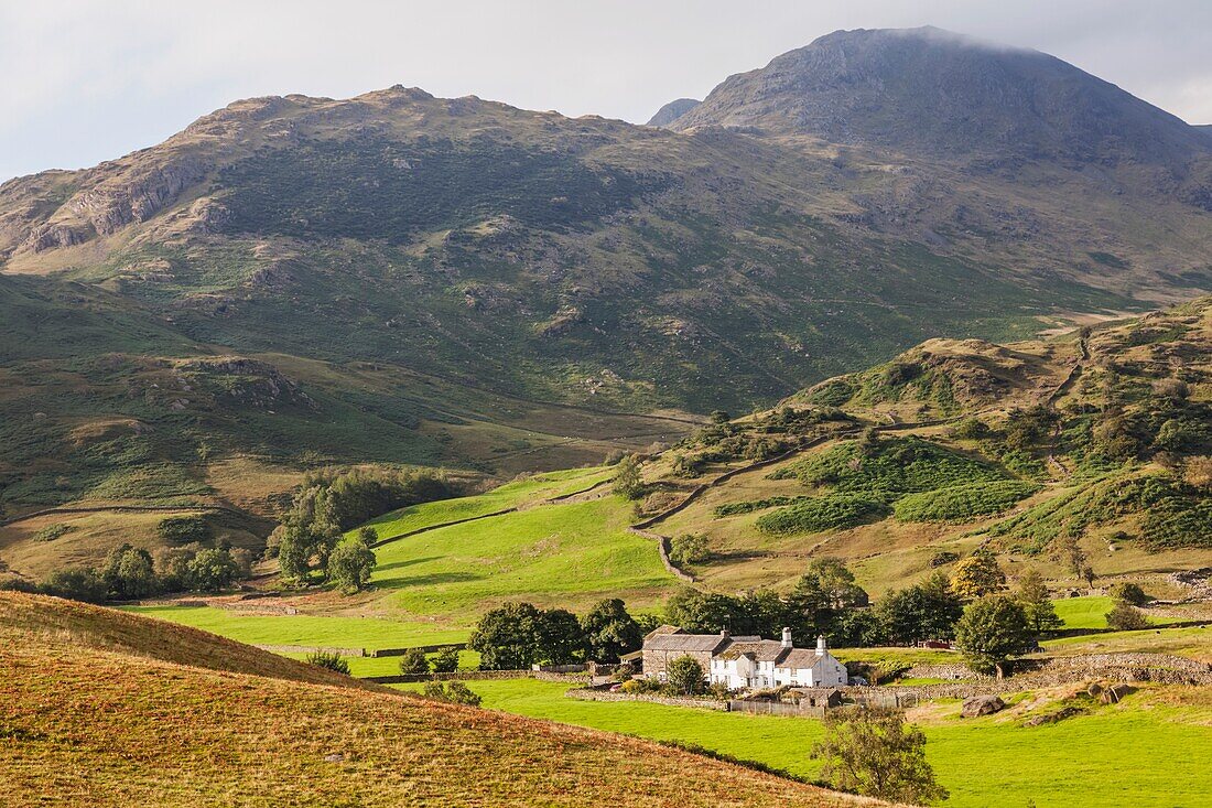 England, Cumbria, Lake District, The Langdales