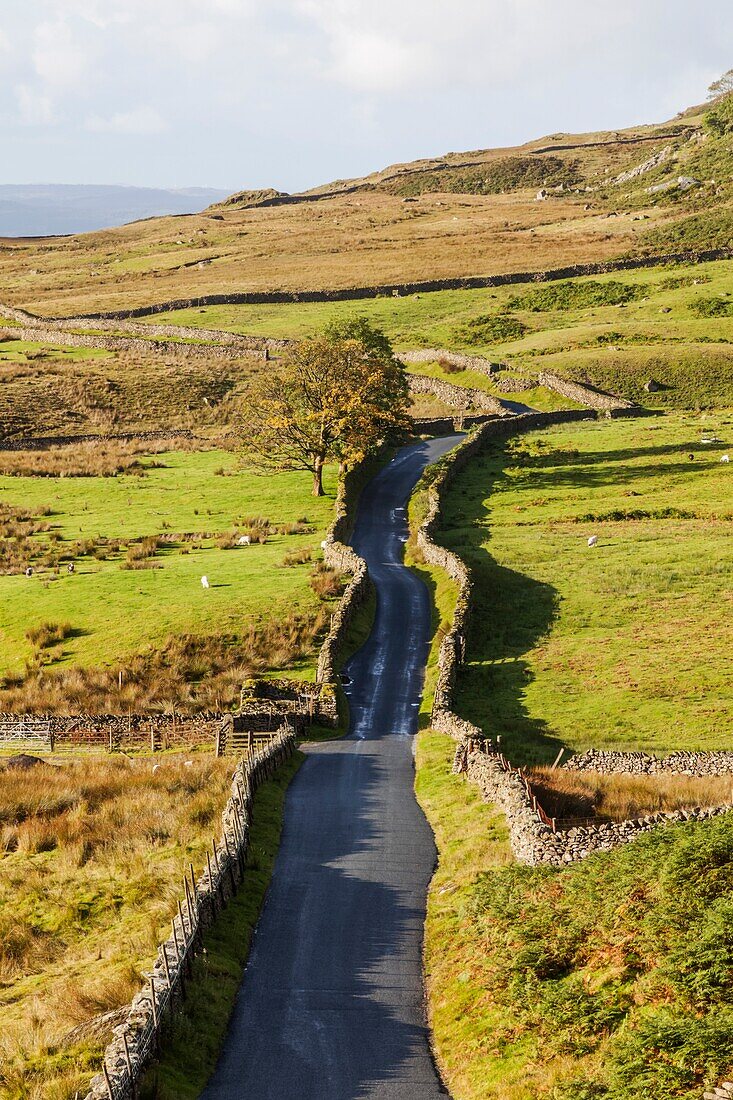 'England, Cumbria, Lake District, Kirkstone Pass, ''The Struggle'' Road to Ambleside'