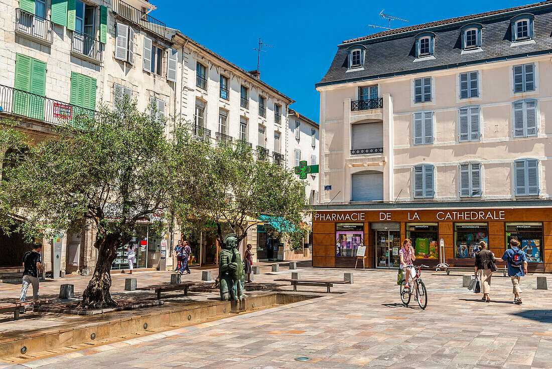 France, Landes, thermal city of Dax, centenarian olive trees on Place de la Cathedrale
