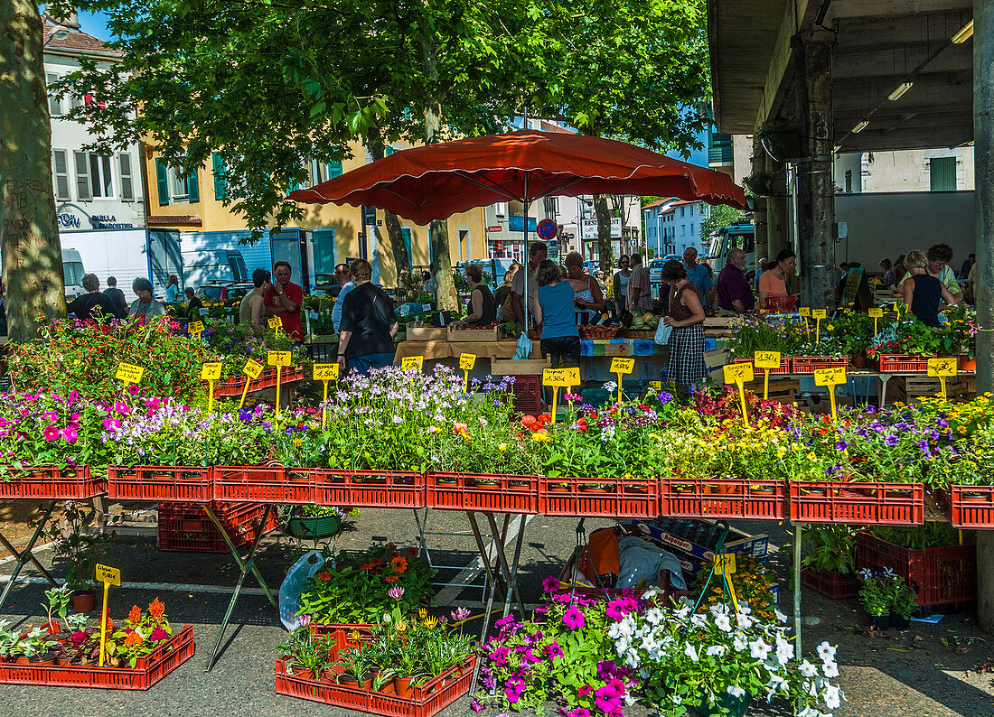 France, Landes, thermal city of Dax, covered market on Place Bouvet
