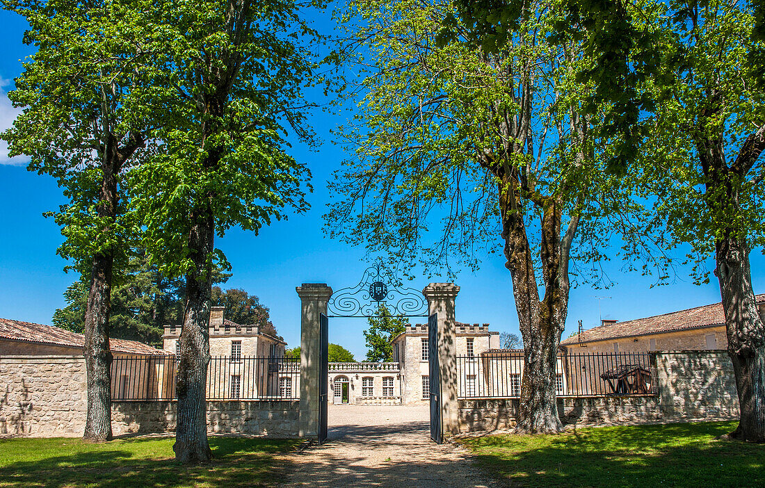 France, Gironde, St Hippolyte, Chateau de Ferrand, AOC St-Emilion Grand Cru Classe (UNESCO World Heritage)