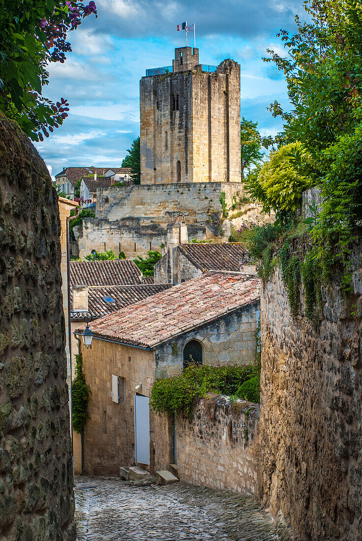 France, Gironde, St Emilion (UNESCO World Heritage), Tertre des Vaillants alley and view of the King's castle's keep