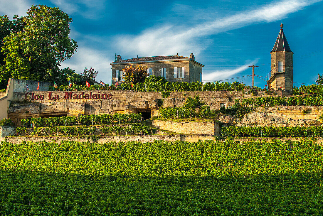 France, Gironde, Chateau Clos la Madeleine in the AOC St Emilion (UNESCO World Heritage)