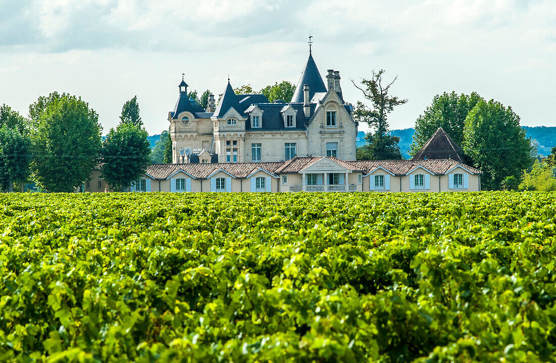 France, Gironde, hotel-restaurant of the Chateau Grand-Barrail and AOC Saint-Emilion vineyard (UNESCO World Heritage)