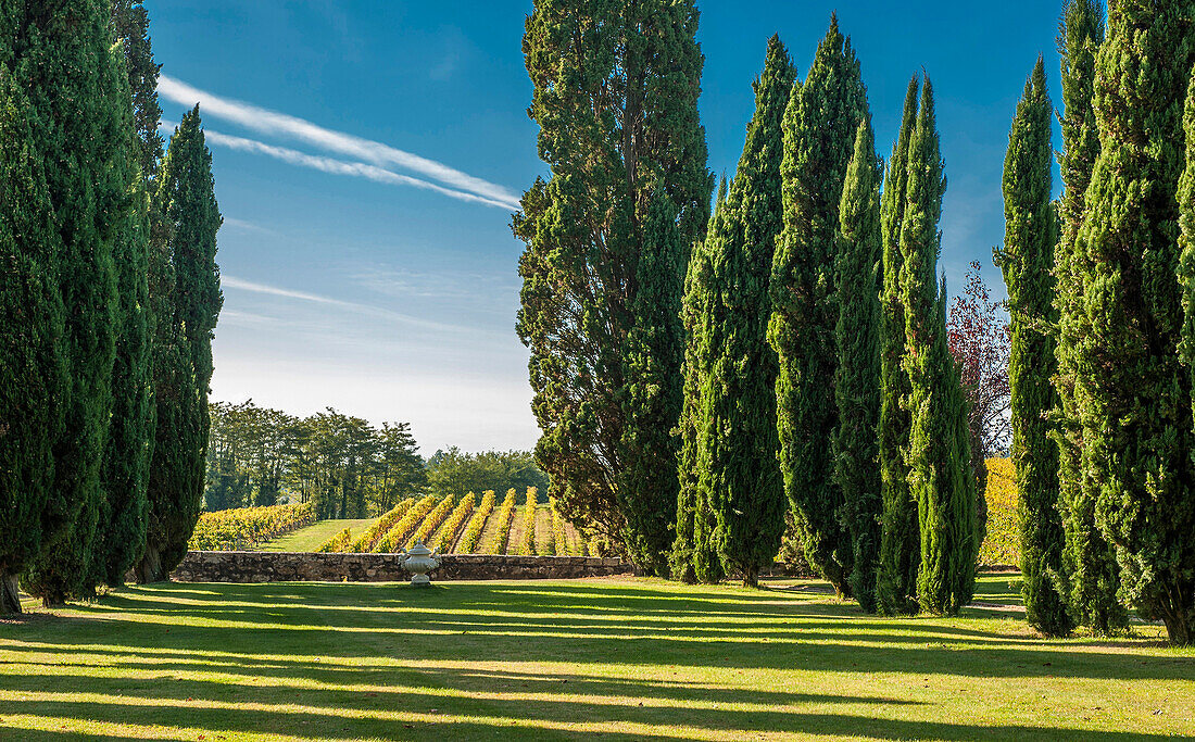 France, Gironde, park of the Chateau de Carles, AOC Fronsac