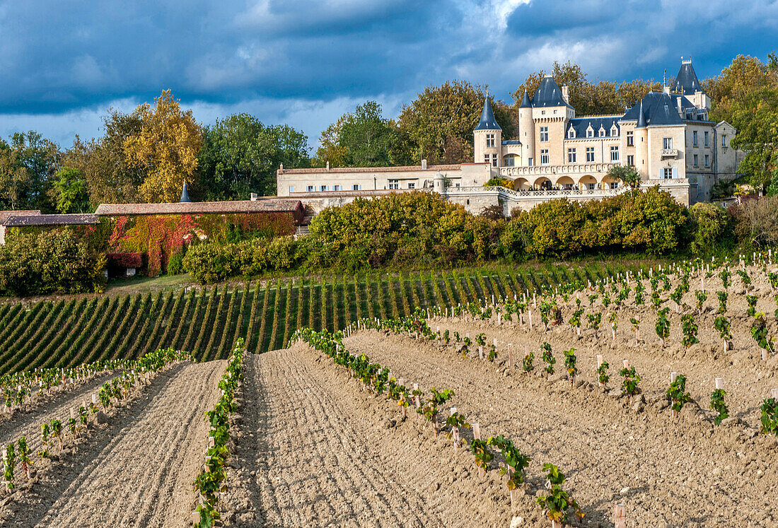 France, Gironde, Chateau de la Riviere in the AOC Fronsac wine-growing region, planting of new vines