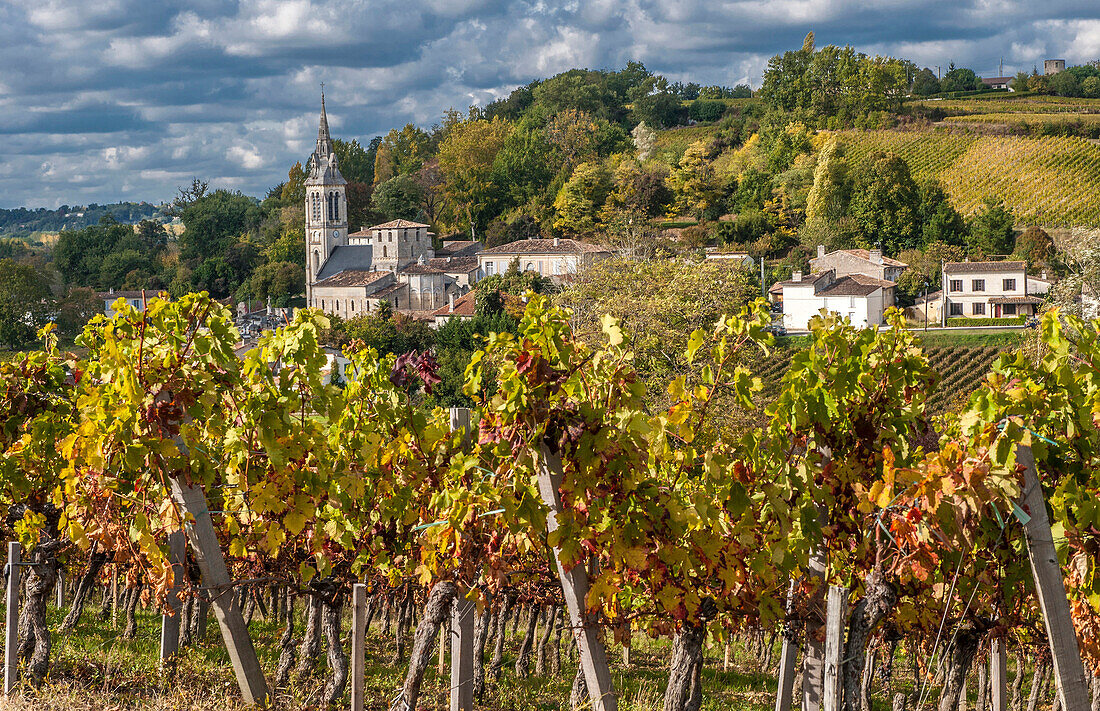 France, Gironde, St Michel-de-Fronsac, village in the middle of AOC Fronsac vines