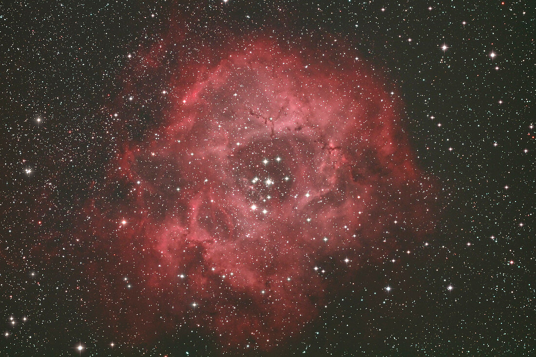 Seine et Marne. Constellation of the Unicorn. Close-up on the spectacular Rosette nebula, a vast gas complex located some 5,000 light-years away.