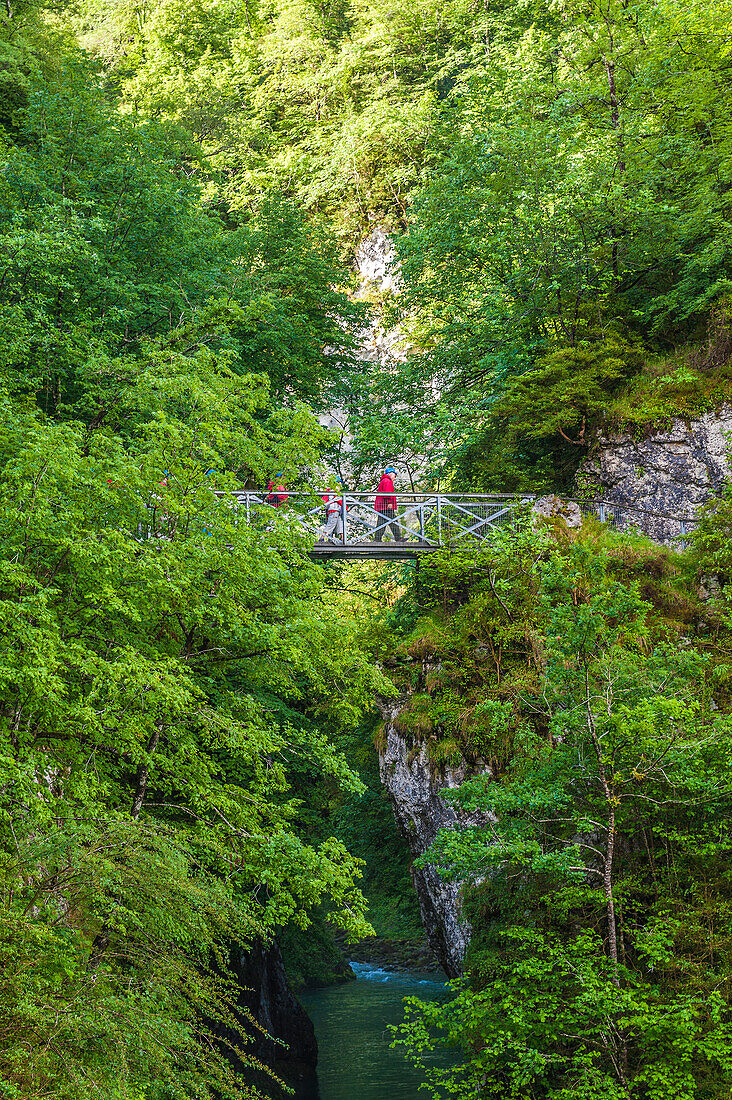 France, Pyrenees, Basque Country, Haute-Soule, Gorges de Kakuetta